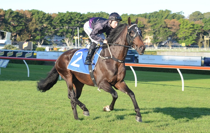 Exploring the World’s Oldest Horse Races