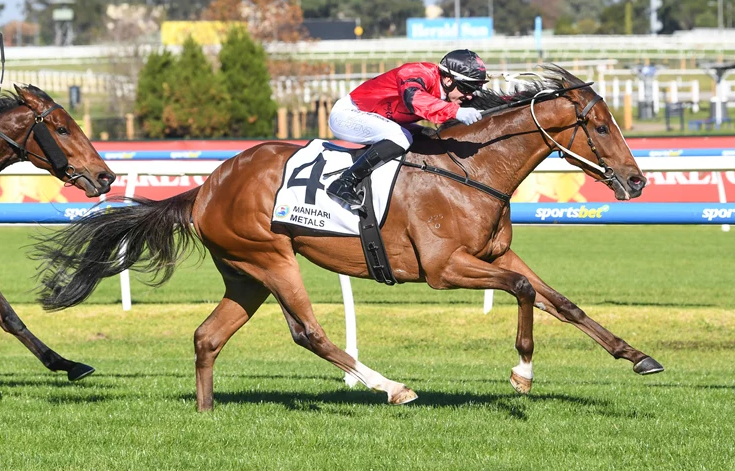 How a Horse’s Body Language Predicts Performance
