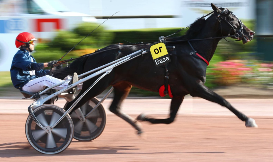 pronostic gratuit || pronostic gratuit turf